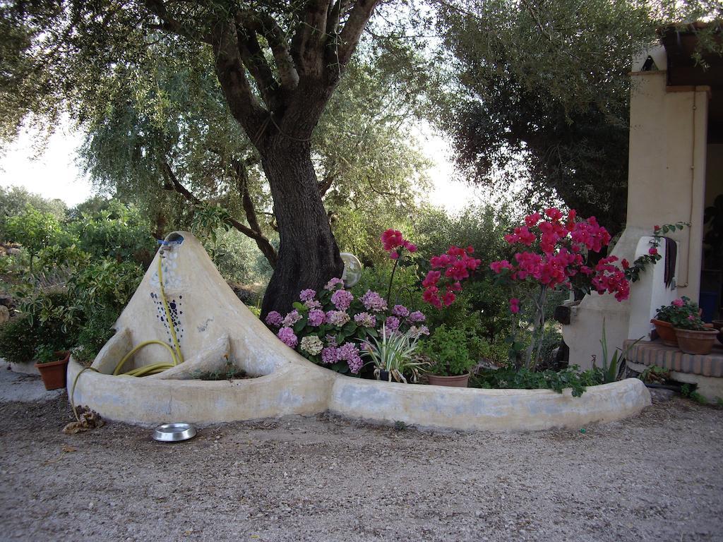 B&B Valverde Dorgali Exterior photo
